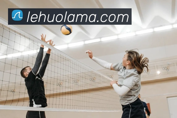 必一运动b官网平台生态图