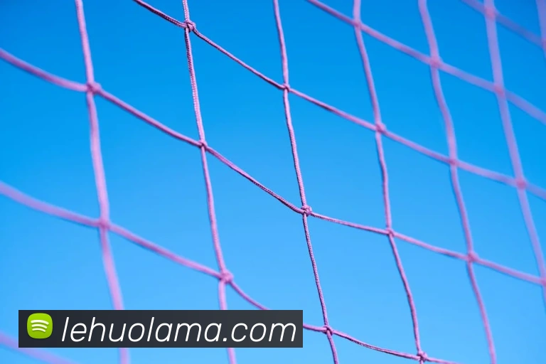 必一运动b官网APP 封面图